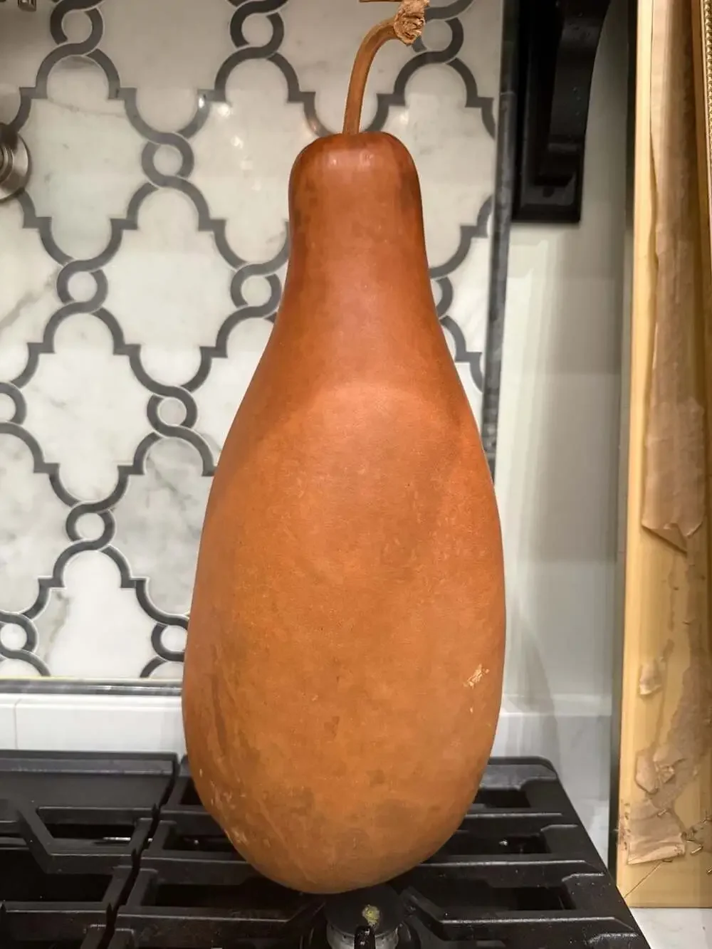 Hand Painted Birch Tree Folk Art Gourd Vase Signed JKo
